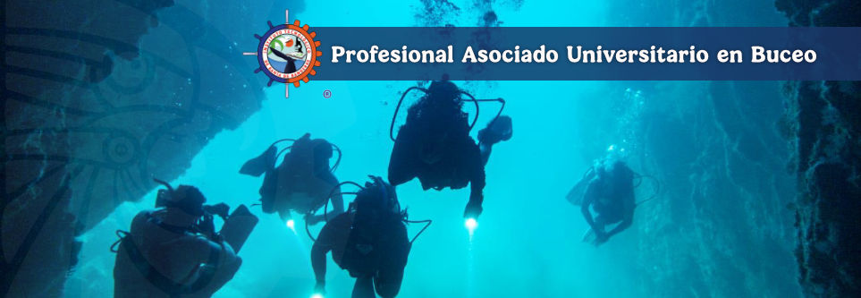 banner de la carrera de buceo